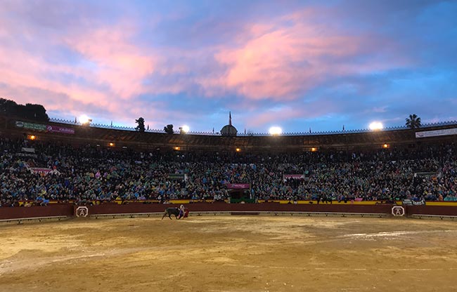 Canal Plus Toros Proximos Festejos 2021