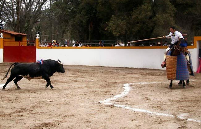 Tepetzala triunfa en el concurso de ganaderías tlxcaltecas