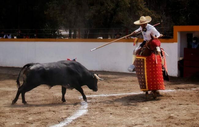 Tepetzala triunfa en el concurso de ganaderías tlxcaltecas