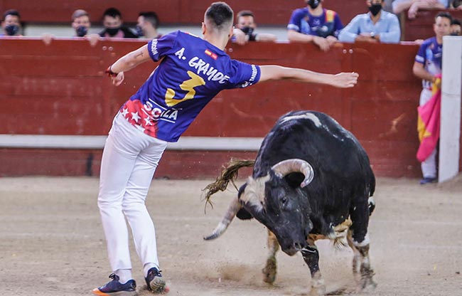 Dany Alonso gana el Concurso Nacional de Recortes | Toreteate.com