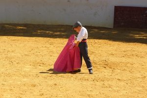 escuela taurina algeciras santi domceq 2
