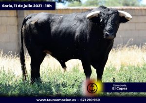 rejones soria capea 4