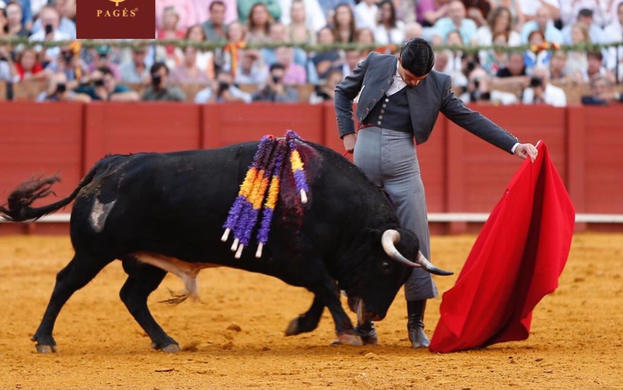 Pablo Raudales Torería a raudales de Aguado en Sevilla | Toreteate.com
